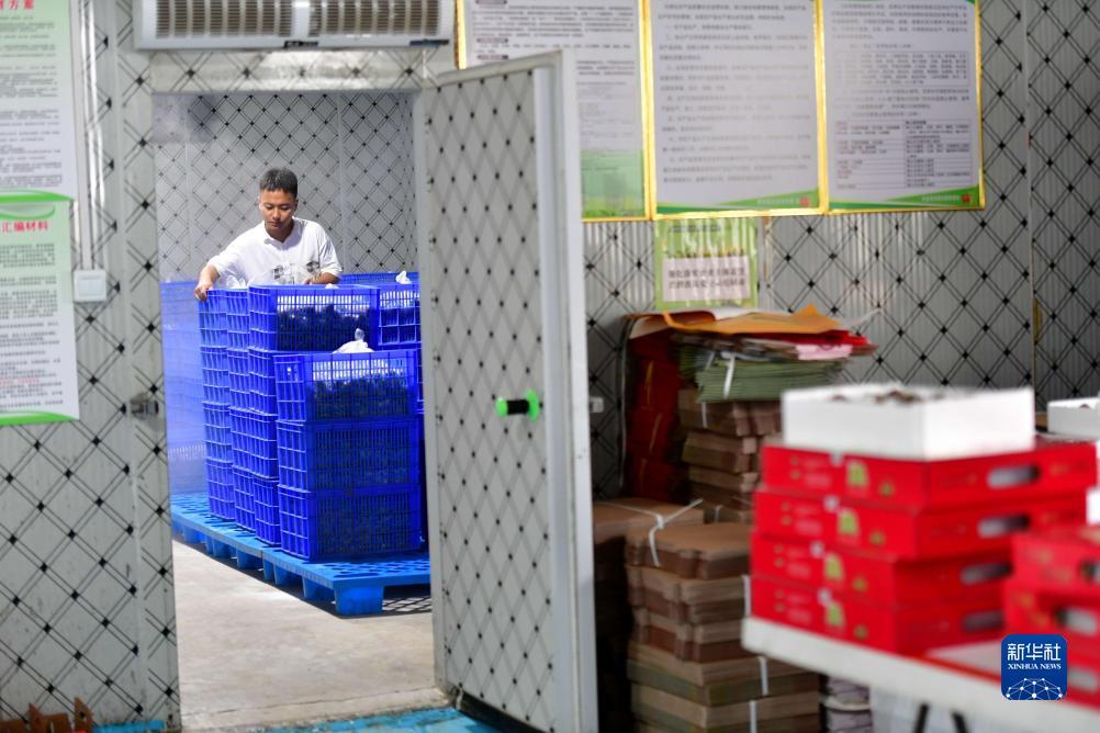 免费送分打鱼可退现金