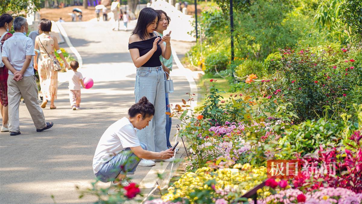 彩娱乐官方网站大全